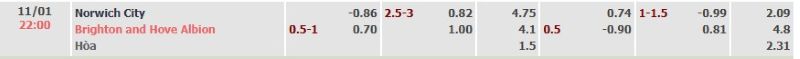 ti-le-keo-tran-norwich-vs-brighton-ngay-11-01